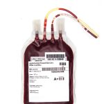 Blood Bag