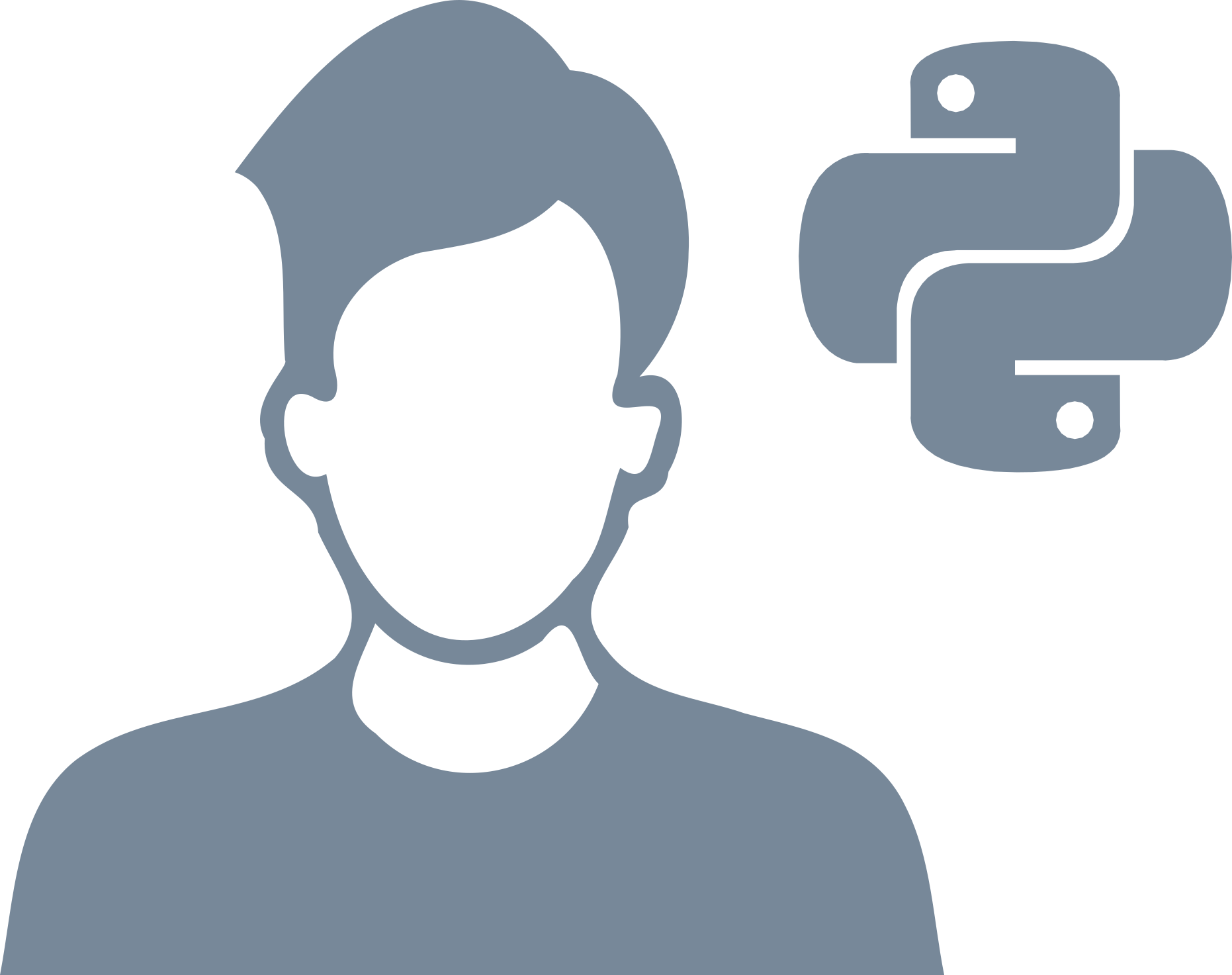 programmatore python